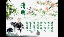 又是一年清明時(700字)